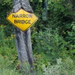 Narrow Bridge #151
