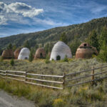 #675 for my children